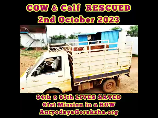 94th & 95th Lives Saved