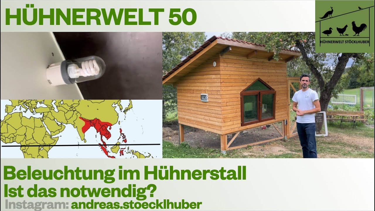 Hühnerwelt 50 Sollte man den Hühnerstall im Winter beleuchten?