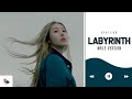 MALE VERSION | Gfriend - Labyrinth