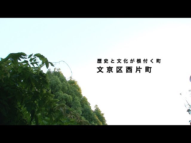 歴史と文化の里 洛西 歴史と文化の里 洛西 歴史と文化の里 洛西 京都・洛