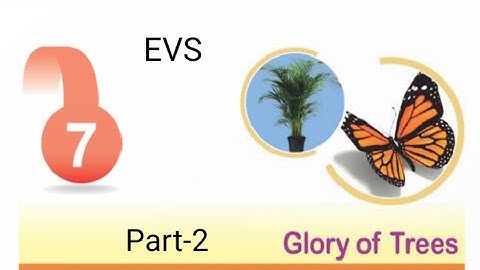 Glory of Trees/ Part-2/ Class-5/ EVS/ Chapter-7/RBSE/CBSE
