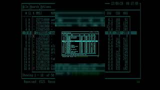 AIS4CBM text screen options #commodore128 #retrocomputing #commodore64