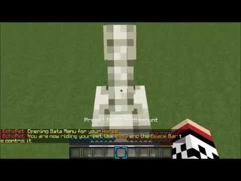 Minecraft EchoPets Plugin tutorial [1.8]