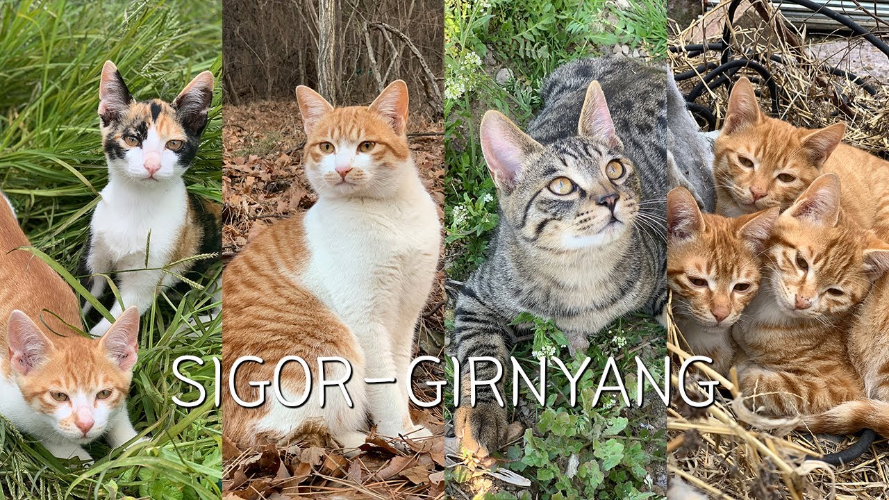 내가 시골에 올 수 밖에 없었던 이유,