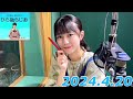 平尾帆夏の#ひら砲らじお   2024.4.20 の動画、YouTube動画。