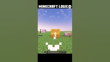 Minecraft Logic #minecraft #shorts