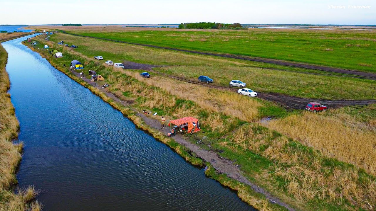 РЫБАЛКА МЕЧТЫ в САЗАНЬЕМ РАЮ!!! РУЧЕЙ КИШИТ КРУПНЯКОМ! Ловля сазана на донки и поплавочную удочку.
