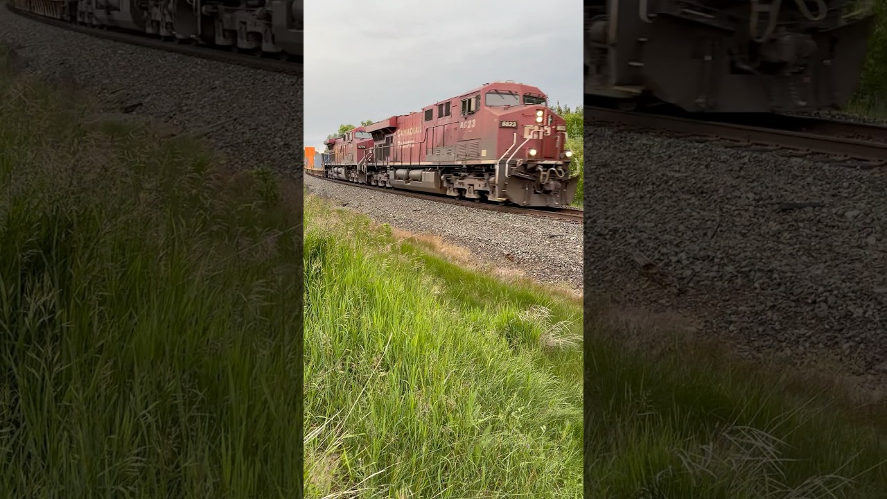 CPR 101 gives a friendly honk 