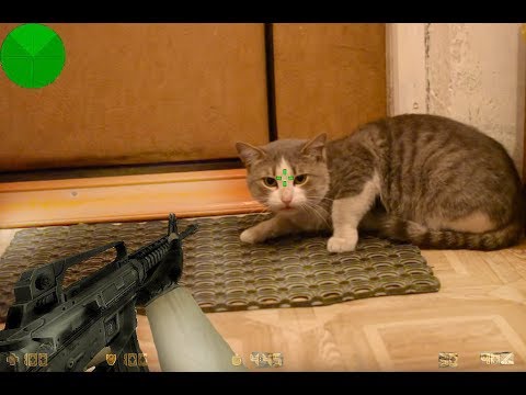 Смотреть как мяукают котики, органы слуха и равновесия тест и черногория частный сектор отзывы Смотреть как мяукают котики