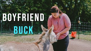 Bringing My Donkeys a Boyfriend! Meet Buck!