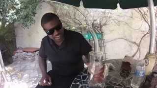 Pulse Gl X King Chip