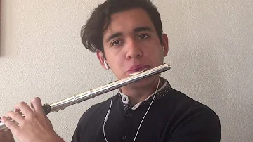 LIKE I'M GONNA LOSE YOU (FLUTE COVER)