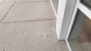 Abandoned Bed Bath & Beyond Brookfield CT