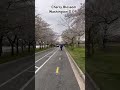 Washington DC