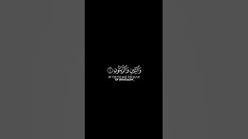 والتين والزيتون | عبد الباسط عبد الصمد كروما شاشة سوداء قرآن كريم||