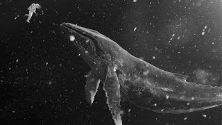 Lightsaber Bonus Track - Exo