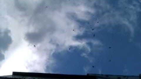 Titan p1 by wikiwalet