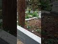ZOOLOG CURT KOSSWİG MEZARI RUMELİ HİSARI AŞİYAN MEZARLIĞI