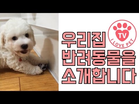 [우반소#1]심쿵!! 귀염둥이 또롱똘망을 소개합니다