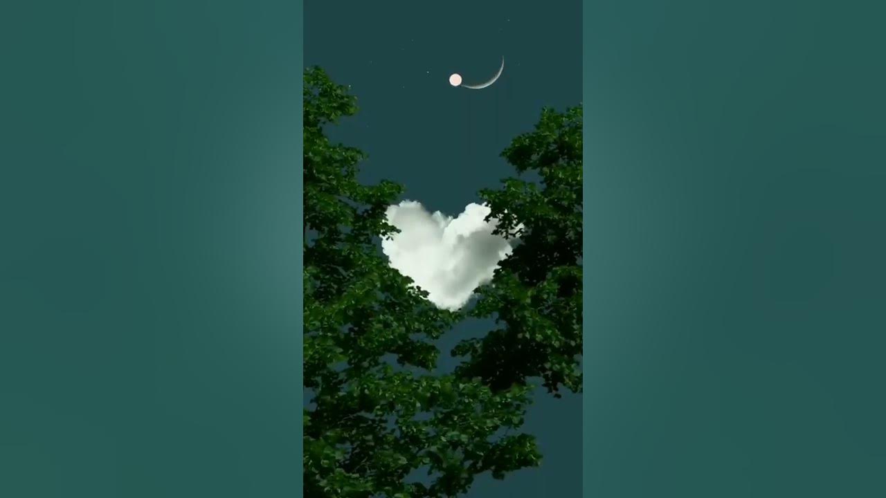 GOOD NIGHT WhatsApp status π #short #shorts #goodnight #sadsong #viral #trending GOOD NIGHT WhatsApp status π #short #shorts #goodnight #sadsong #viral #trending