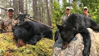 Hunting BIG Remote Ontario Bruins | Canada in the Rough