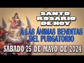 SANTO ROSARIO A LAS ANIMAS BENDITAS DEL PURGATORIO DEL DIA HOY SABADO 25 DE MAYO DE 2024