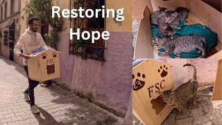 A wooden house warms the heart of a grieving mama cat who has lost her kitten. by Feeding Street Cats 9,385 views 12 days ago 7 minutes, 22 seconds