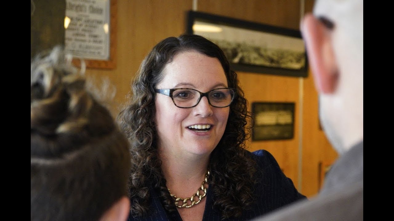 2016 lys Populist Left Has Strong Showing In Elections