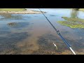 pesca de taruchas en arroyo escondido
