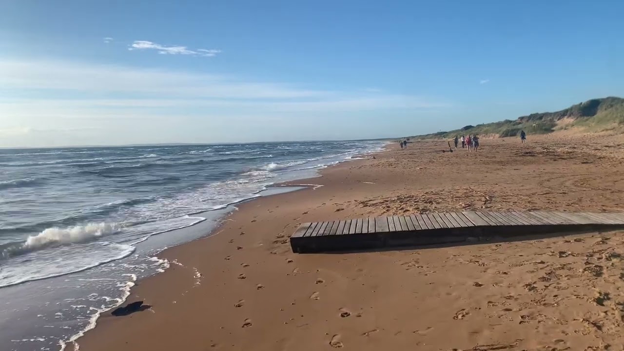 Sweden Walks: Mellbystrand. Swedish west coast beach in July at a glance. Halland.