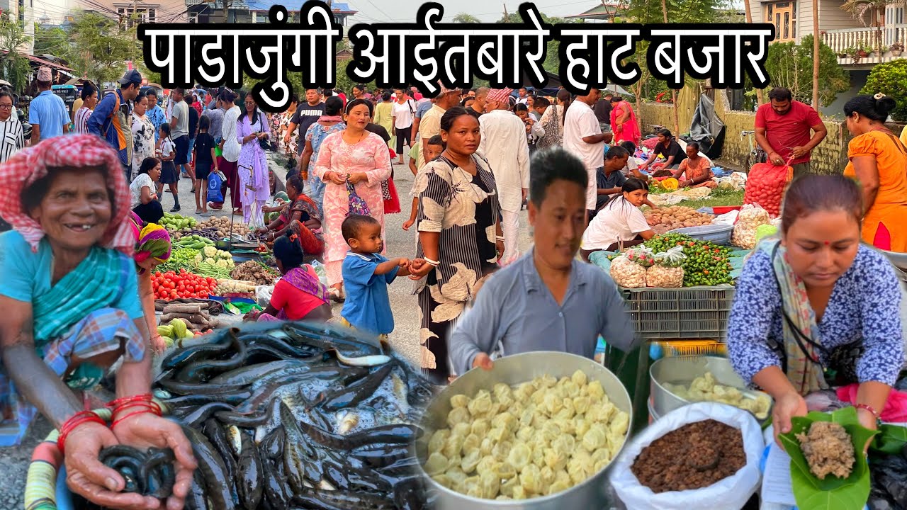 PADAJUNGI AAITABARE HAT BAZAAR JHAPA🇳🇵Best Street Food In Nepali Haat Bazaar🥟रु-१०० पावा हीले माछा🐟😱