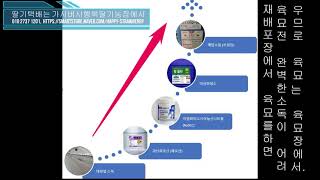 딸기농장의 베드소족에서 소독재료별 상토소독효과비교