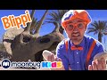 Blippi Visits Dinosaur Exhibition - Learn About Eggs & Fossils | Moonbug Kids TV Shows Full Episodes