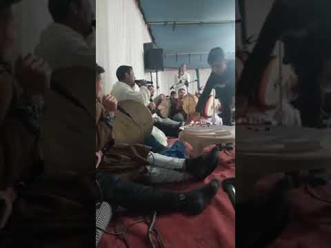 يلايم بالله لاتلوم الحبيب تليلي