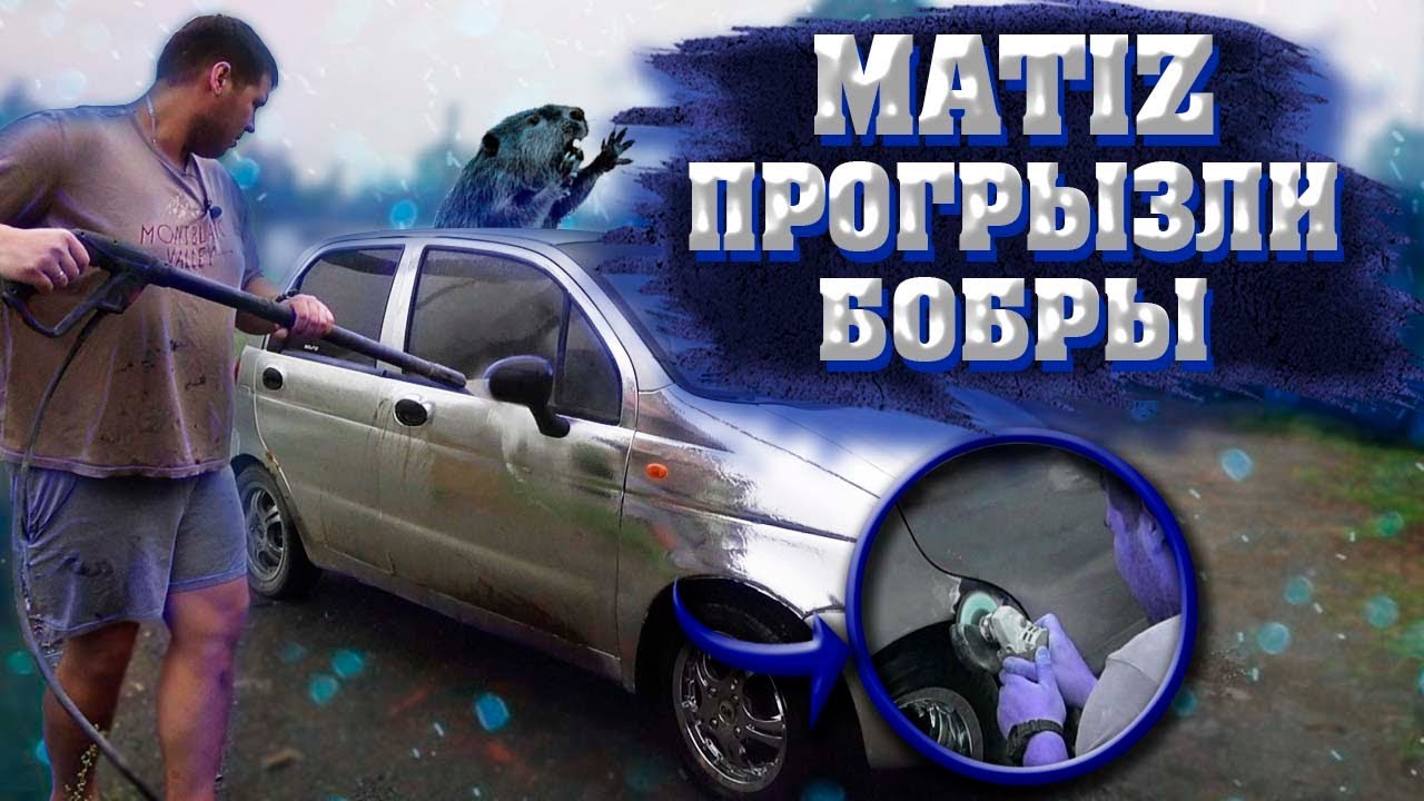 Матиз громкий фронт