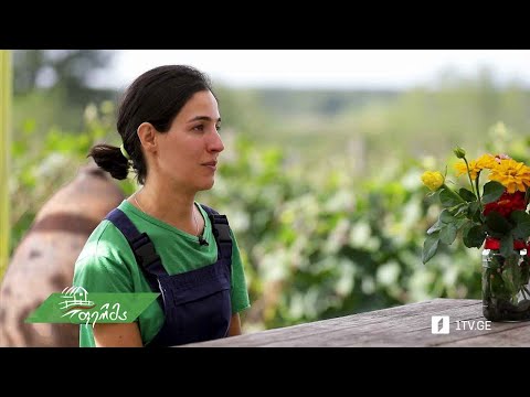 #ფერმა ბაია აბულაძე - წარმატებული მეღვინე სოფელ ობჩიდან