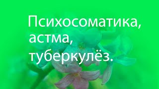 Психосоматика - астма, туберкулёз