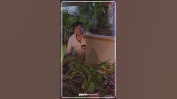 పందిని వేటాడితే, సుందరి తగిలిందే..😂| #Muthu #Rajinikanth #Meena #Shorts #ReelsVideo #TrendingStatus