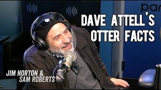 Dave Attell and his Otter Facts - Jim Norton &amp; Sam Roberts