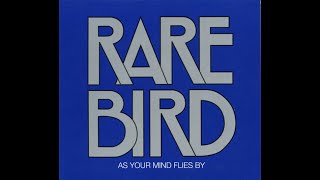 Rare Bird:-'Flight'