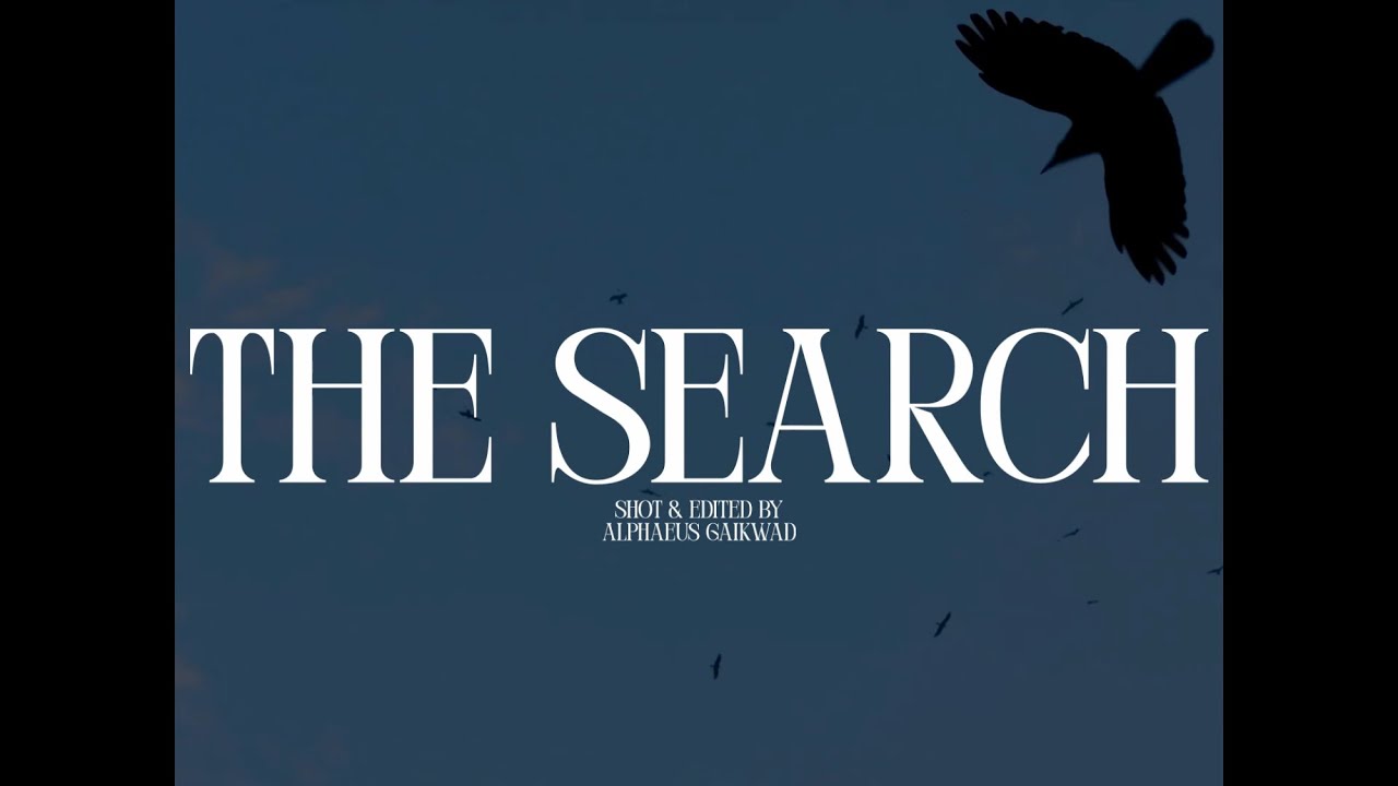 THE SEARCH - Cinematic Short