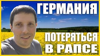 ГЕРМАНИЯ. Цены в Германии / Немецкий замок и кафе [NovastranaTV](Германия порадовала погодой. Собирался посмотреть немецкий замок, но вместо этого погулял по городу, съел..., 2016-05-16T09:39:44.000Z)