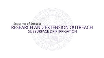 2014 State of the University | Subsurface Drip Irrigation