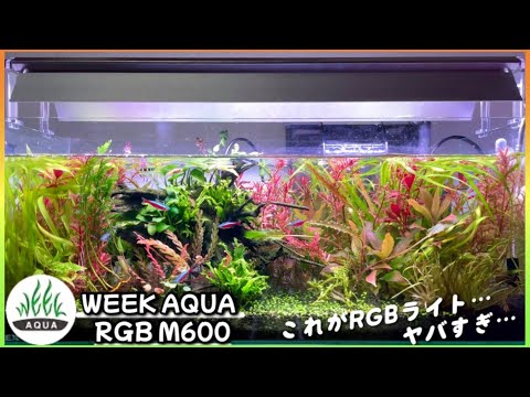 WEEK AQUA M600 PRO RGB照明 WEEK AQUA M600 PRO RGB照明 WEEK AQUA M600 pro - RGB 36W