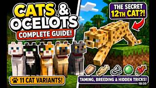 Everything About Cats &amp; Ocelots in Minecraft 26.X - Spawn,Tame,Breed,Behaviour&amp;More