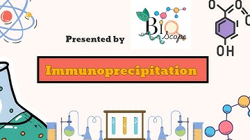 Immunoprecipitation (IP) Explained: How Scientists Isolate Proteins 