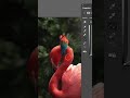 Photoshop tips to make your digital artwork look better shorts