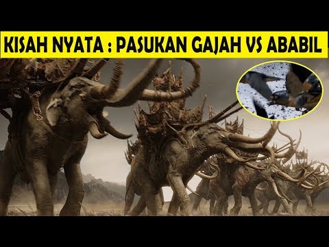 Kisah Nyata Sebelum Kelahiran Nabi Muhammad Kekalahan Pasukan
