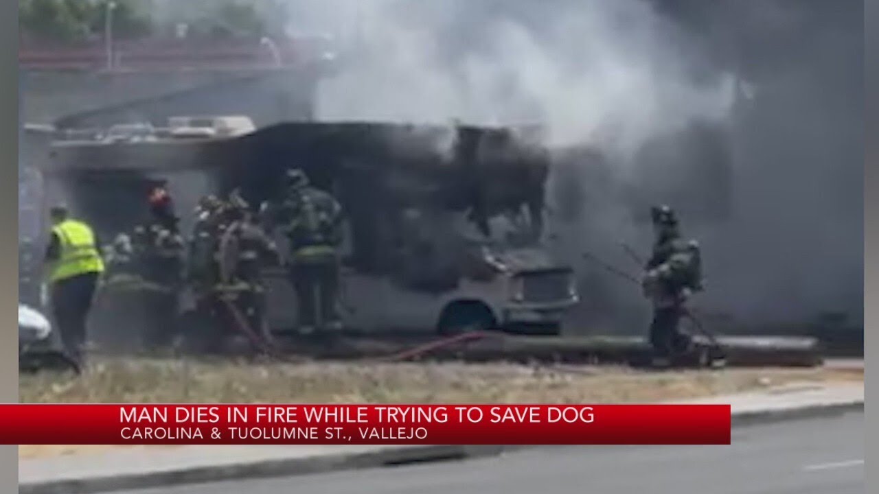 Man dies in Vallejo fire while trying to save dog - YouTube