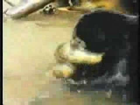 Anaconda vs Jaguar